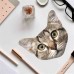 Fun Cat Microfibre Cloth